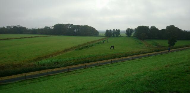 Blick in die Marschenlandschaft bei Nebel