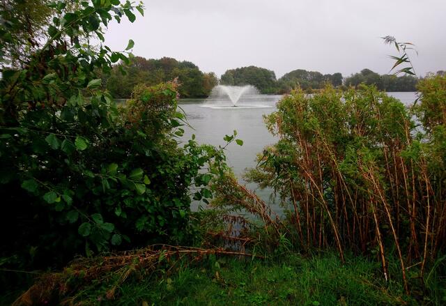 Der kleine Park in Tossens ist jetzt ein Kurpark. Am Rand sind neue Ferienhäuser entstanden. Der Baustil passt nicht wirklich in die Landschaft.