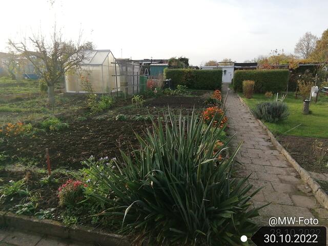 30.10.2022 !!! Gartenschau - Sonntagsbilder 2022 !!! Temperaturen: Früh 6:16 11,3 Grad / 11:21h 15,3° / 13:33 h 21,9° plus | Foto: MW-FotoNebra