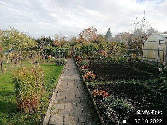 30.10.2022 !!! Gartenschau - Sonntagsbilder 2022 !!! Temperaturen: Früh 6:16 11,3 Grad / 11:21h 15,3° / 13:33 h 21,9° plus | Foto: MW-FotoNebra