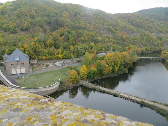 Ein Blick über die Mauer.