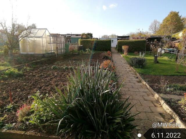 6.11.2022 !!! Gartenschau - Sonntagsbilder 2022 !!! Temperaturen: Früh 6:06 3,3 Grad / 11:21h 11,3° / 13:13 h 17,9° plus | Foto: MW-FotoNebra
