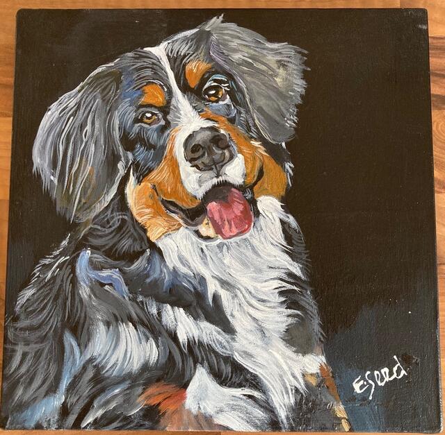 Sie haben Interesse an einem der Bilder? Einfach ein Gebot an info@towanika.com abgeben. Der Erlös geht zu 100% an Towanika und die El Seed Art Foundation.