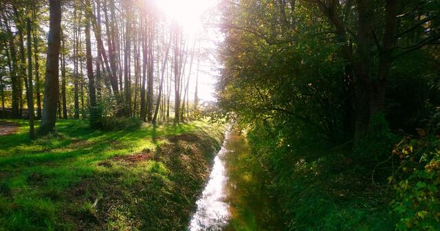 Dieses Flüsschen heißt Alpe.