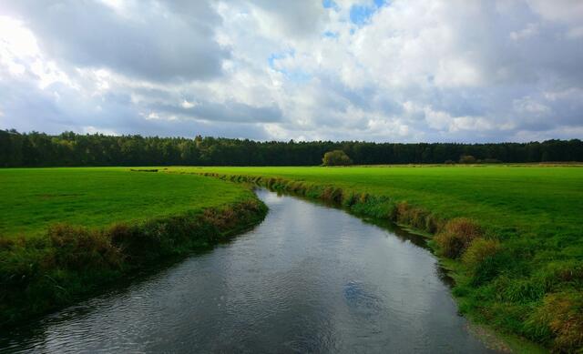 An der Böhme in der Ahrensheide