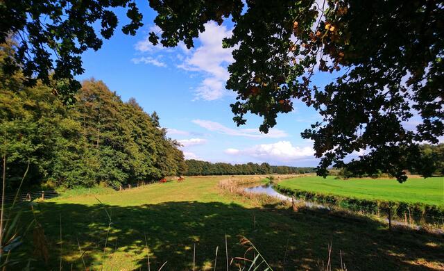 Die Böhme schlängelt sich durch die Landschaft.