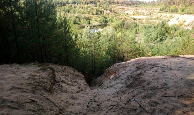 Blick in das ehemalige Abbaugebiet.
