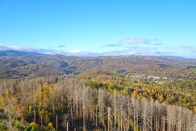 Blick nach Hasserode vom Kaiserturm