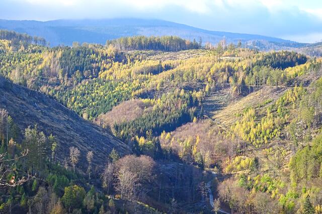 Drängetal vom Steinbergkopf aufgenommen, hier wurde die Kamera, im Gegensatz zu dem anderem Bild, nicht angekippt. Auch hier sind die Waldschäden unübersehbar.
