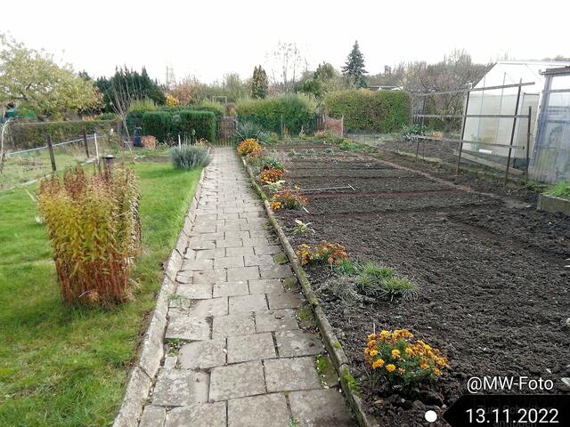 13.11.2022 !!! Gartenschau - Sonntagsbilder 2022 !!! Temperaturen: Früh 6:02 2,3 Grad / 11:21h 10,3° / 13:13 h 16,9° plus | Foto: MW-FotoNebra