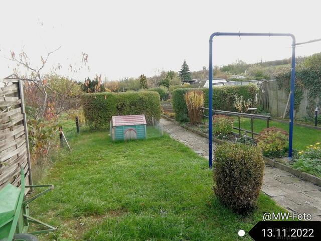 13.11.2022 !!! Gartenschau - Sonntagsbilder 2022 !!! Temperaturen: Früh 6:02 2,3 Grad / 11:21h 10,3° / 13:13 h 16,9° plus | Foto: MW-FotoNebra