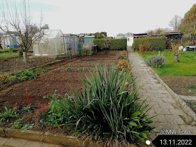 13.11.2022 !!! Gartenschau - Sonntagsbilder 2022 !!! Temperaturen: Früh 6:02 2,3 Grad / 11:21h 10,3° / 13:13 h 16,9° plus | Foto: MW-FotoNebra