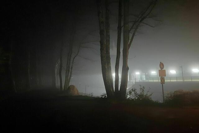 Dichter Nebel auch am Eiskanal