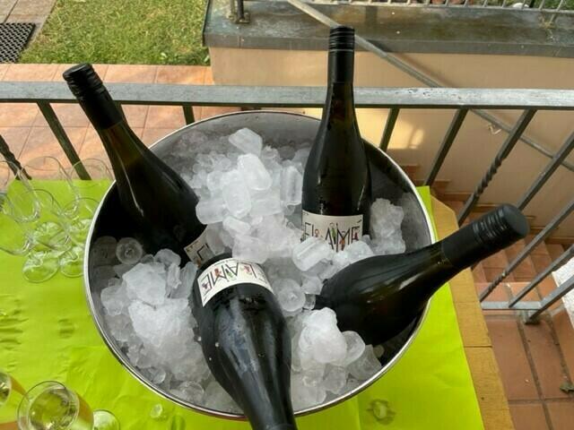 Ein Begrüßungsprosecco zum Sommerfest