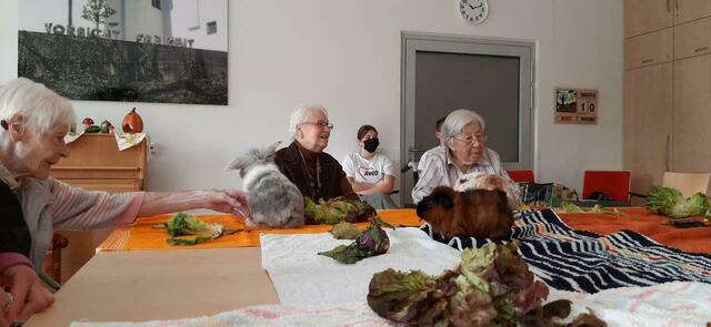Tiere zu Besuch