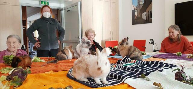 Tiere zu Besuch