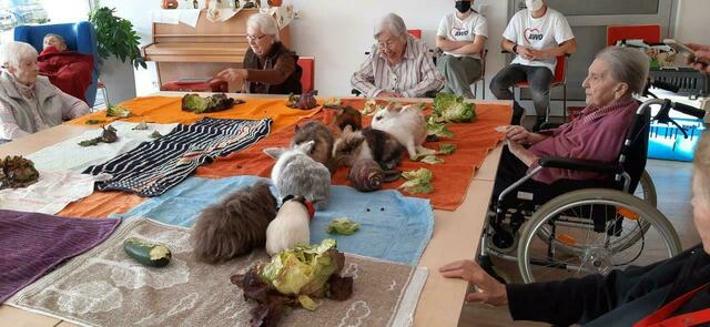 Tiere zu Besuch