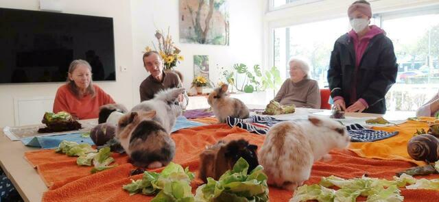 Tiere zu Besuch