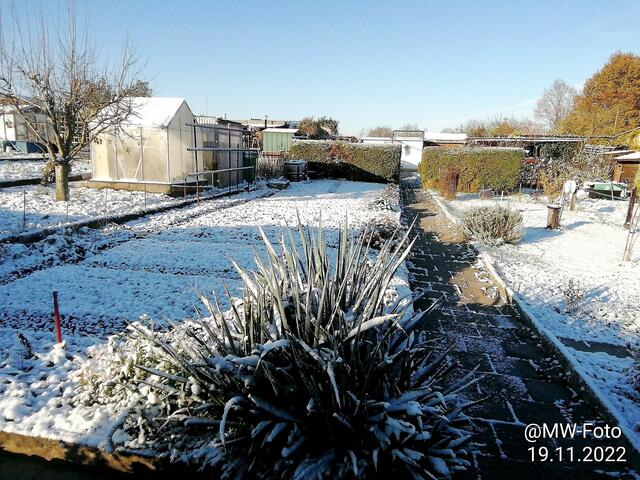 20.11.2022 !!! Gartenschau - Samstag-Sonntagsbilder 2022 !!! Temperaturen: Früh 5:08 9,3 Grad minus / 11:09h 5,3° minus / 13:22 h 1,9° plus | Foto: MW-FotoNebra