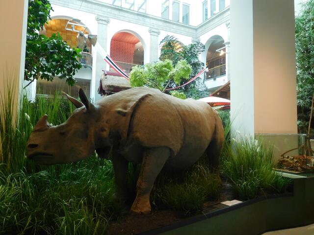 Überseemuseum Bremen