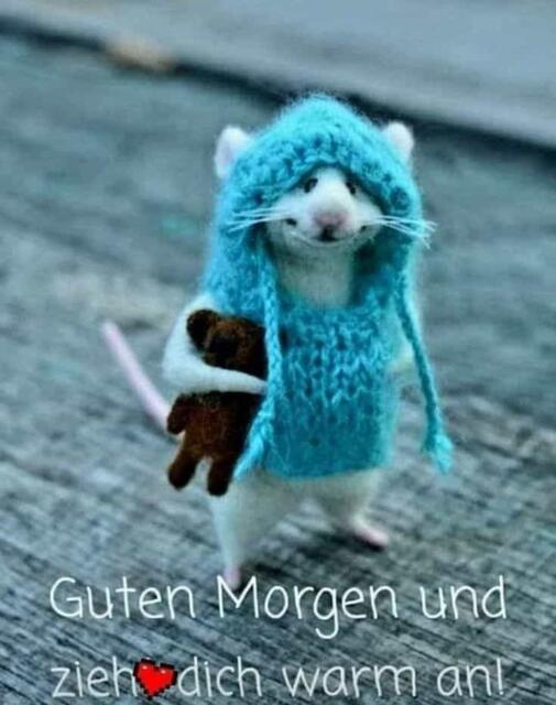 Minus 9.3 Grad heute früh - 20.11.2022 !!! Gartenschau - Samstag-Sonntagsbilder 2022 !!!    Temperaturen: Früh 5:08 9,3 Grad minus / 11:09h 5,3° minus / 13:22 h 1,9° plus