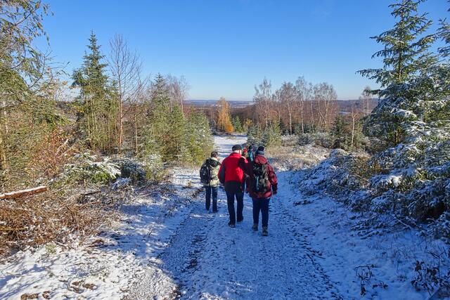 auf dem Weg zum Carlshaus