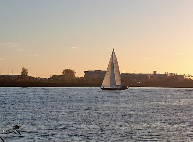 Ein Yacht segelt elbaufwärts Richtung Hamburger Hafen
