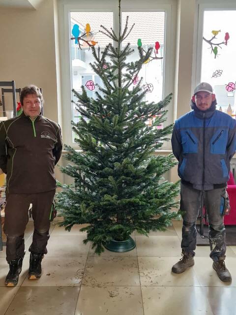 Robert Müller (links) und sein Mitarbeiter erfreuten auch die Grundschule in Westendorf mit einer Nordmanntanne. Auch dort wirdl sie demnächst von den Kindern geschmückt werden.