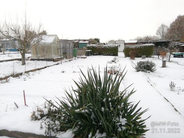 Am letzten Samstag (1) - 27.11.2022 !!! Gartenschau - Samstag-Sonntagsbilder 2022 !!!   Temperaturen: Früh 6:18 2,3 Grad minus / 11:09h 3,3° plus / 13:22 h 7,9° plus