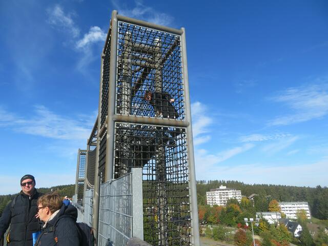 Die Kinder wollten hoch hinaus.