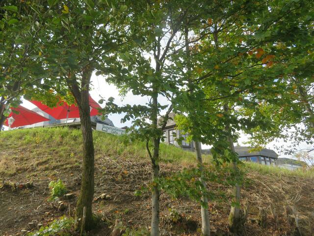 Leider sind wir hier nicht eingekeht..Wir hätten es brauchen können.