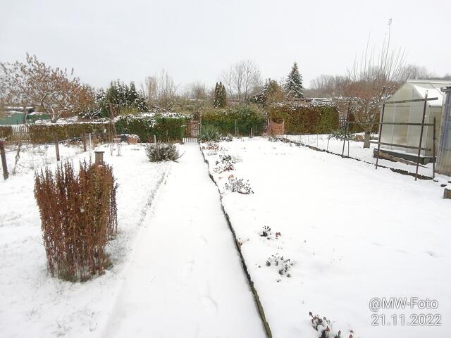 Am letzten Samstag (3) - 27.11.2022 !!! Gartenschau - Samstag-Sonntagsbilder 2022 !!!   Temperaturen: Früh 6:18 2,3 Grad minus / 11:09h 3,3° plus / 13:22 h 7,9° plus
