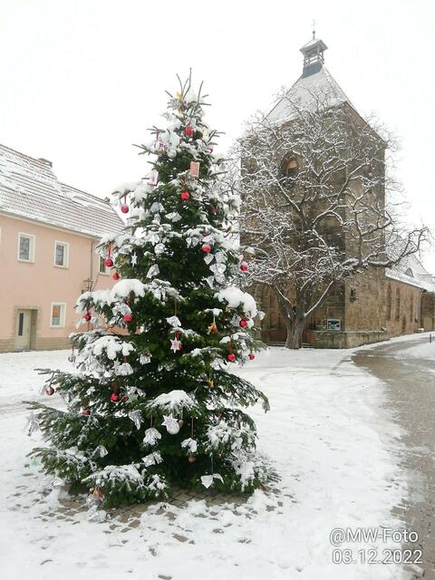 Der Nebraer Weihnachtsbaum - 4.12.2022 !!! Gartenschau -Sonntagsbilder 2022 !!!  Temperaturen: Früh 6:11 0,7 Grad minus / 11:01h 2,3° plus / 13:22 h 4,9° plus