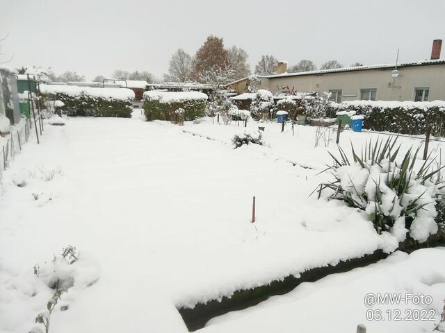 Alles weiß im Garten - 4.12.2022 !!! Gartenschau -Sonntagsbilder 2022 !!!  Temperaturen: Früh 6:11 0,7 Grad minus / 11:01h 2,3° plus / 13:22 h 4,9° plus