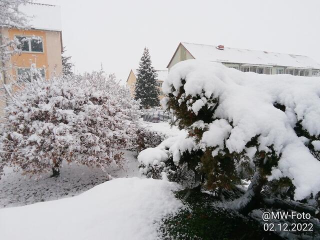 20 cm hat es geschneit - 4.12.2022 !!! Gartenschau -Sonntagsbilder 2022 !!!  Temperaturen: Früh 6:11 0,7 Grad minus / 11:01h 2,3° plus / 13:22 h 4,9° plus