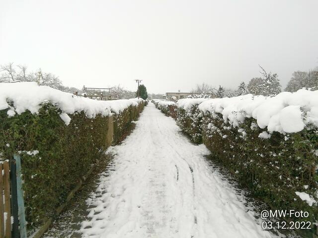 Auf dem Weg zum Garten - 4.12.2022 !!! Gartenschau -Sonntagsbilder 2022 !!!  Temperaturen: Früh 6:11 0,7 Grad minus / 11:01h 2,3° plus / 13:22 h 4,9° plus