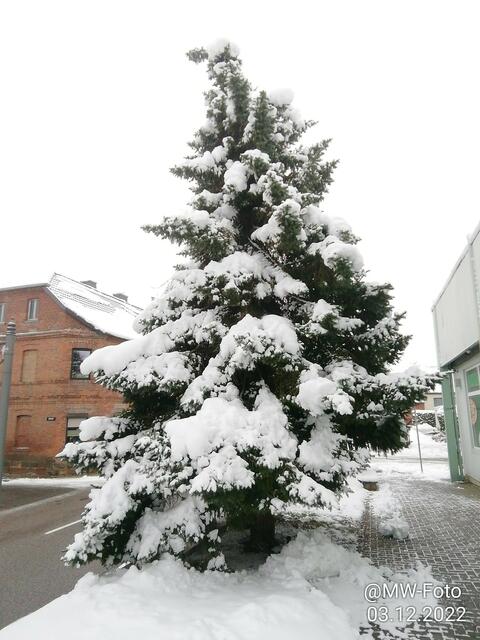 Verdammt viel Schnee - 4.12.2022 !!! Gartenschau -Sonntagsbilder 2022 !!!  Temperaturen: Früh 6:11 0,7 Grad minus / 11:01h 2,3° plus / 13:22 h 4,9° plus