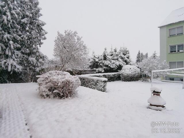 Schön oder nicht - 4.12.2022 !!! Gartenschau -Sonntagsbilder 2022 !!!  Temperaturen: Früh 6:11 0,7 Grad minus / 11:01h 2,3° plus / 13:22 h 4,9° plus