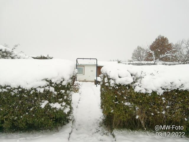 Schnee auf unserer Hecke - 4.12.2022 !!! Gartenschau -Sonntagsbilder 2022 !!!  Temperaturen: Früh 6:11 0,7 Grad minus / 11:01h 2,3° plus / 13:22 h 4,9° plus