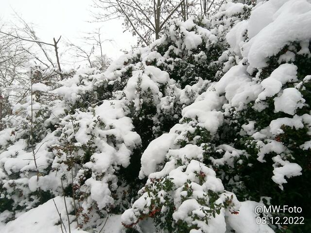 Viel Schnee in Nebra - 4.12.2022 !!! Gartenschau -Sonntagsbilder 2022 !!!  Temperaturen: Früh 6:11 0,7 Grad minus / 11:01h 2,3° plus / 13:22 h 4,9° plus