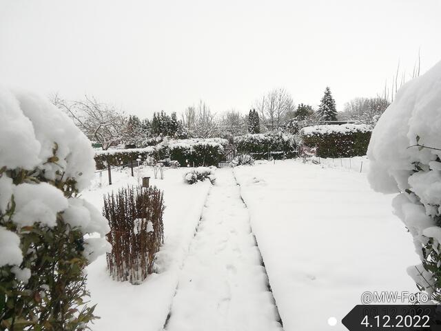 4.12.2022 !!! Gartenschau -Sonntagsbilder 2022 !!!  Temperaturen: Früh 6:11 0,7 Grad minus / 11:01h 2,3° plus / 13:22 h 4,9° plus | Foto: MW-FotoNebra