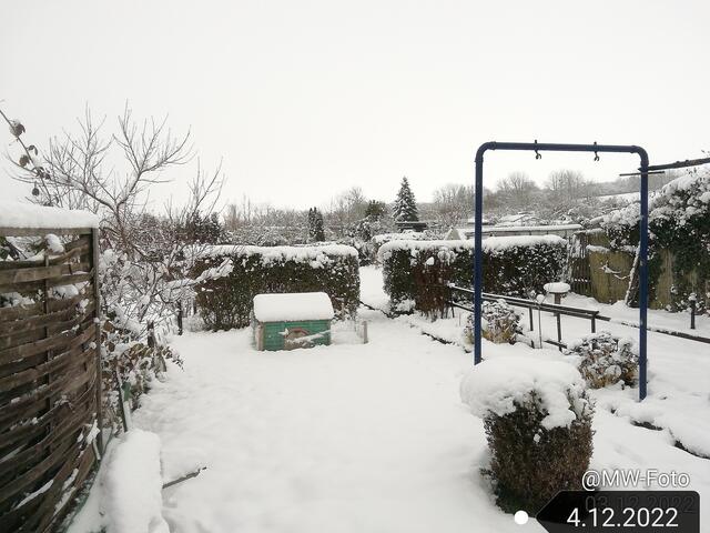(1) - 4.12.2022 !!! Gartenschau -Sonntagsbilder 2022 !!!  Temperaturen: Früh 6:11 0,7 Grad minus / 11:01h 2,3° plus / 13:22 h 4,9° plus | Foto: MW-FotoNebra
