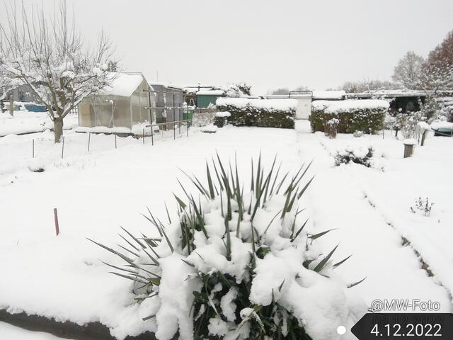 4.12.2022 !!! Gartenschau -Sonntagsbilder 2022 !!!  Temperaturen: Früh 6:11 0,7 Grad minus / 11:01h 2,3° plus / 13:22 h 4,9° plus | Foto: MW-FotoNebra