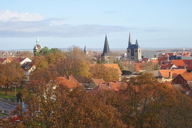 Blick vom Münzenberg über die Dächer von Quedlinburg