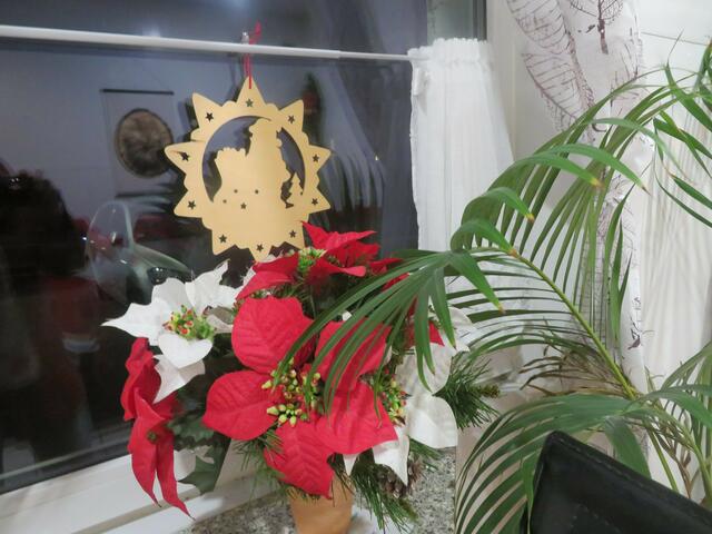 Weihnachten unter Palmen.