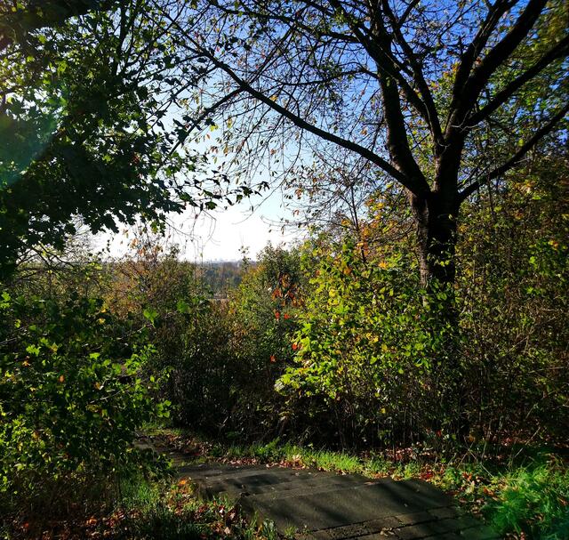 Langenhagens Hausberg "Wietzeblick" ist eigentlich ein Müllberg.