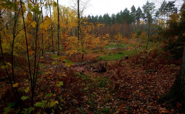 Blick in eine Senke
