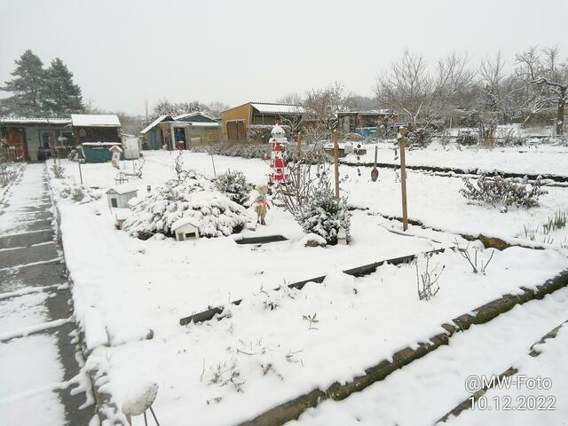 Nachbars Garten - 11.12.2022 !!! Weihnachtsmarkt / Gartenschau - Sonntagsbilder 2022 !!!  Temperaturen: Früh 6:01 2,7 Grad minus / 11:01h 1,3° plus / 13:22 h 4,9° plus