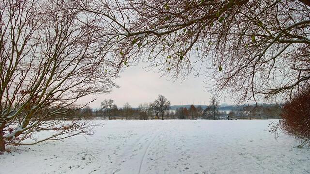 Leichter Schneefall in der Landschaft Nordwestmecklenburgs. Foto: Helmut Kuzina
