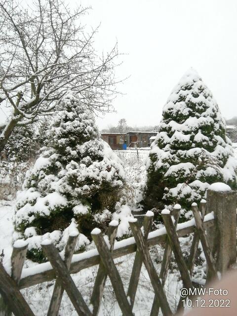 Neuschnee - 11.12.2022 !!! Weihnachtsmarkt / Gartenschau - Sonntagsbilder 2022 !!!  Temperaturen: Früh 6:01 2,7 Grad minus / 11:01h 1,3° plus / 13:22 h 4,9° plus